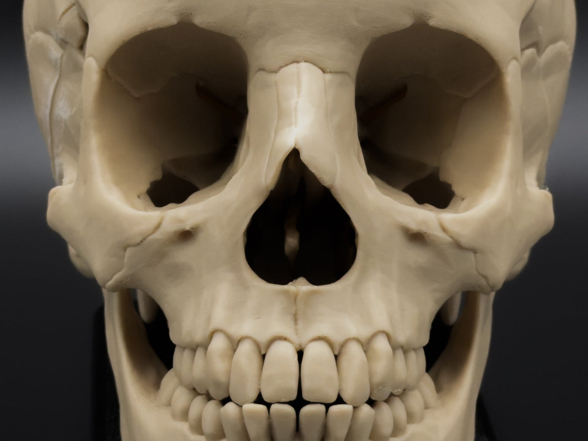 3D Prints