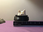 3D Printed Cat and/or Dog Ghost Lamp $15/each or 2/$20!!!
