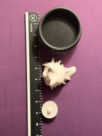 3D Printed Cat and/or Dog Ghost Lamp $15/each or 2/$20!!!